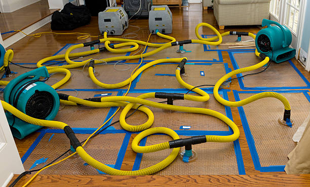 Professional Water Damage Repair technician working in Spencer, IN